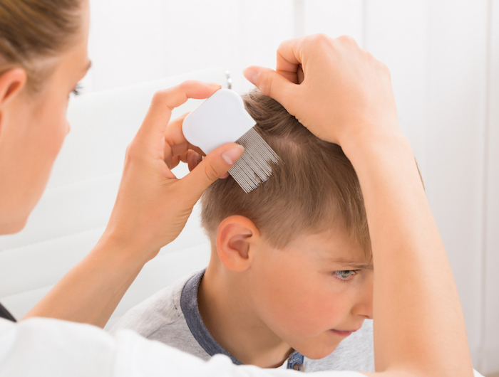 close up of female doctor doing treatment on boy's hair with comb
