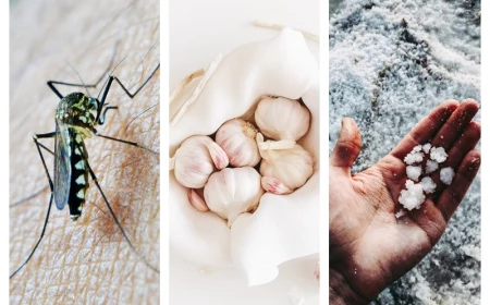 effektive hausmittel gegen mückenstiche knoblauch salz