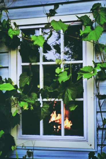 fenster preise fenster farben kunststofffenster weiß pflanzen feuer