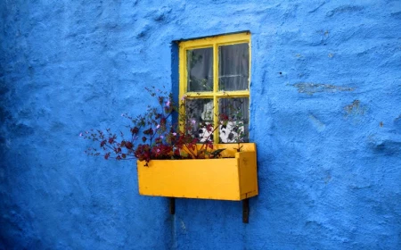 gelber blumenkasten wichtige tipps zur pflege