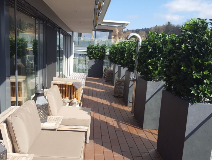 terrassen sichtschutz balkon balkon sichtschutz mit pflanzen ideen kirschlorbeer hecke in blumentopfen