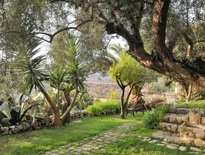 winterharte mediterrane pflanzen anlegen ein garten mit paömen und olivenbäumen