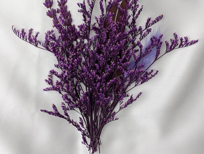 1 was passt zu lavendel lila blume garten blumen pflanzen