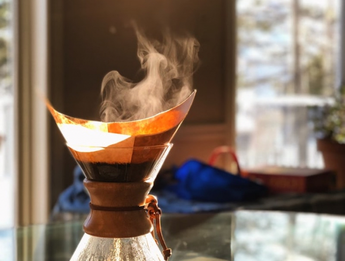 pfingstrose mit kaffeesatz düngen filterkafee im sonnigen raum