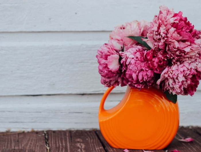 pink pfingstrose im topf oder in einer orange vase vor weißer wand