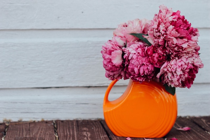 pink pfingstrose im topf oder in einer orange vase vor weißer wand