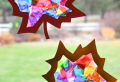 Fensterdeko zum Herbst: kreative Vorschläge für Sie und Ihre Familie!