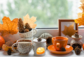 Fensterdeko zum Herbst: kreative Vorschläge für Sie und Ihre Familie!
