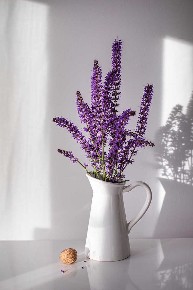schöne weiße vase mit lavandula begleitpflanzen lavendel