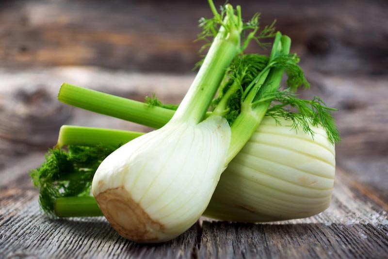 ständiges völlegefühl und dicker bauch fenchel