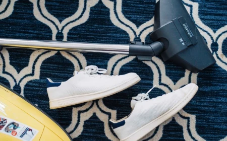 tipps bei der auswahl des richtigen staubsaugers