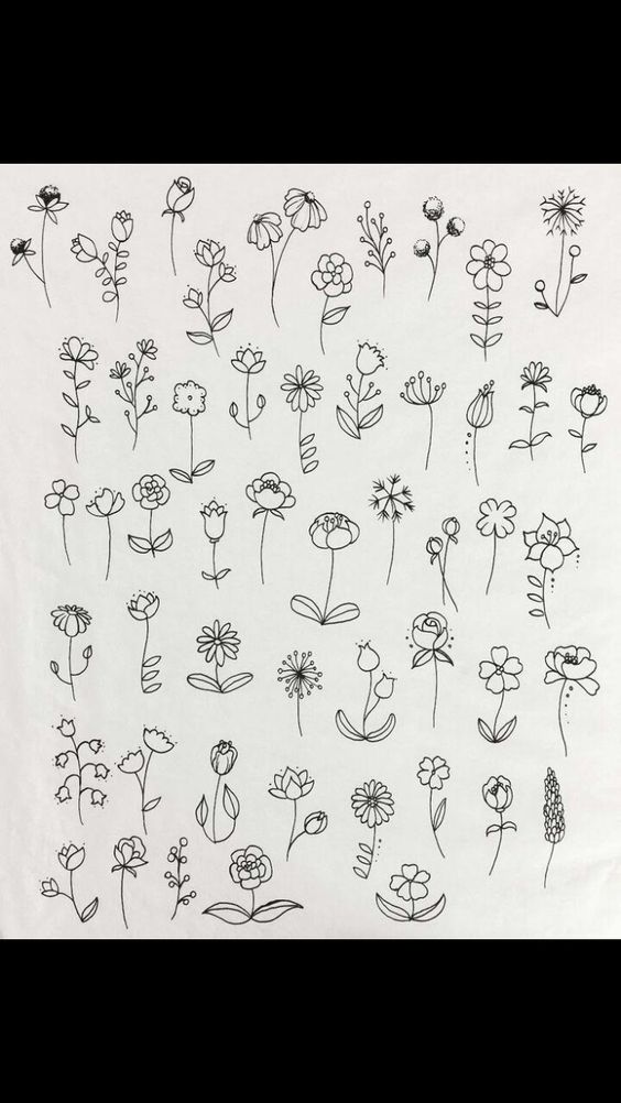 zeichen vorlage viele arten blumen doodle illustriert