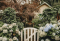 Hortensien schneiden im Herbst – Wichtige Infos und Tipps