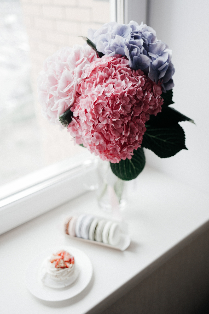 5 vase mit blauen und pinken blumen hortensien pflege und schneiden tipps