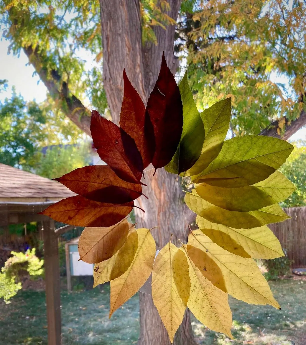 herbstliche fensterdeko kranz aus blättern basteln