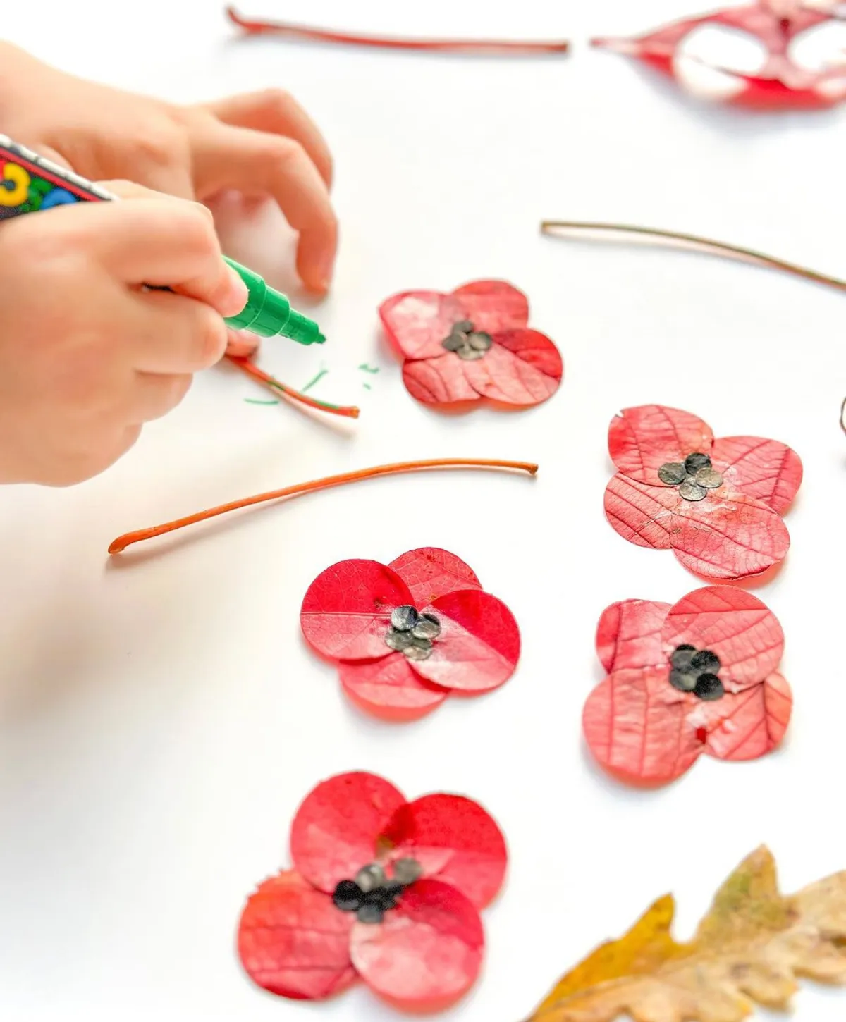 kreise aus herbstblättern ausschneiden blumen basteln