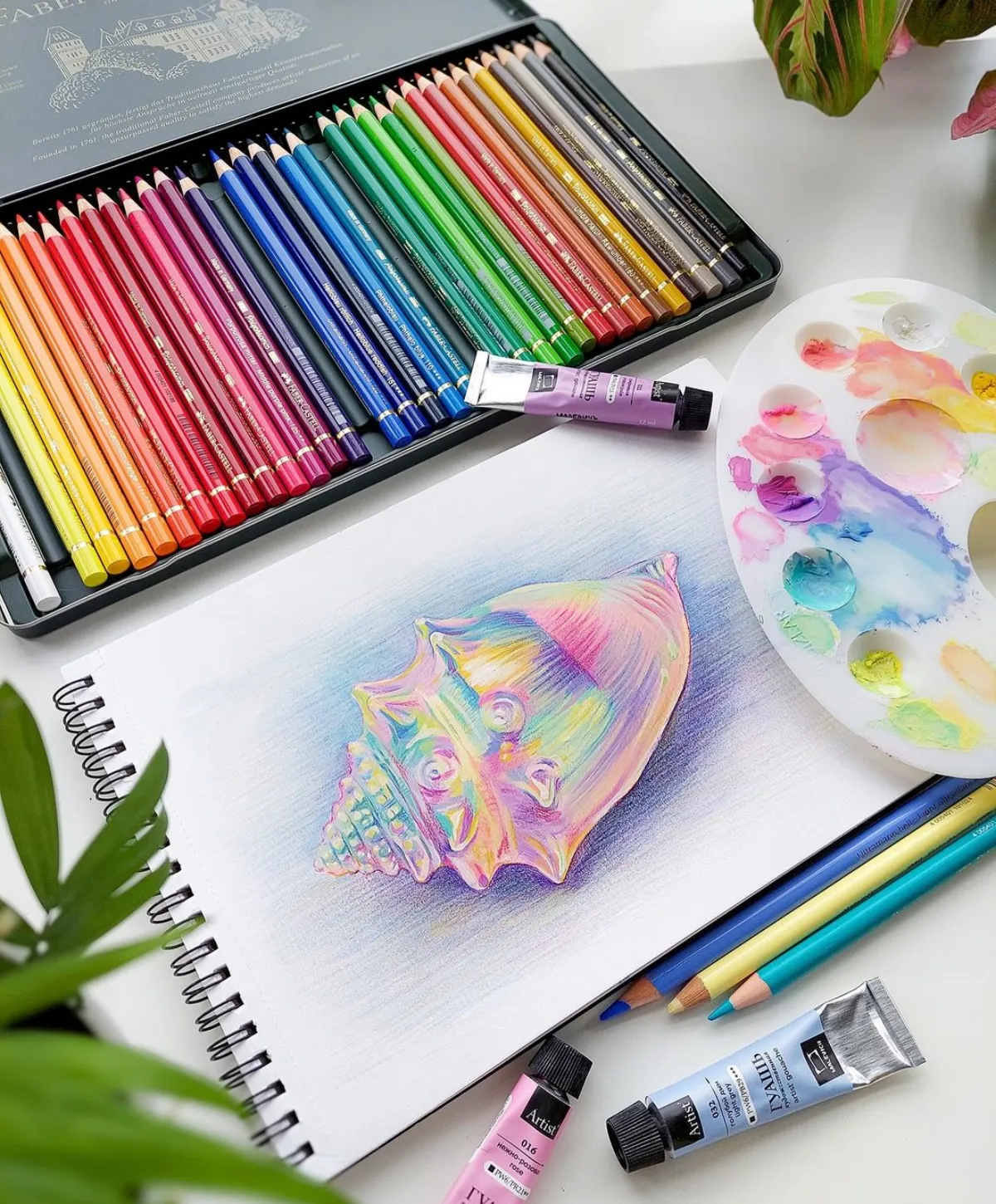 muschel zeichnen mit farbstiften und wasserfarben