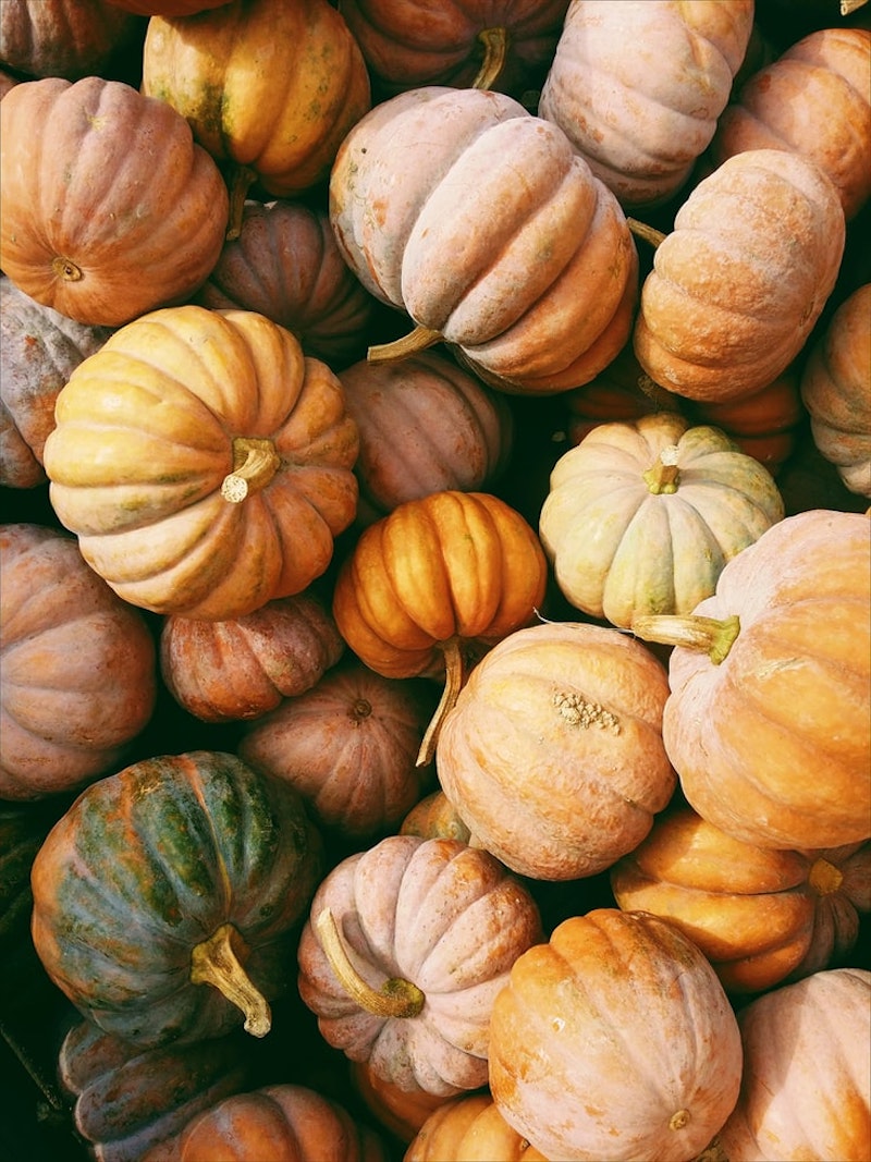 naturmaterial tischdeko herbst zierkürbisse in verschiedenen farben