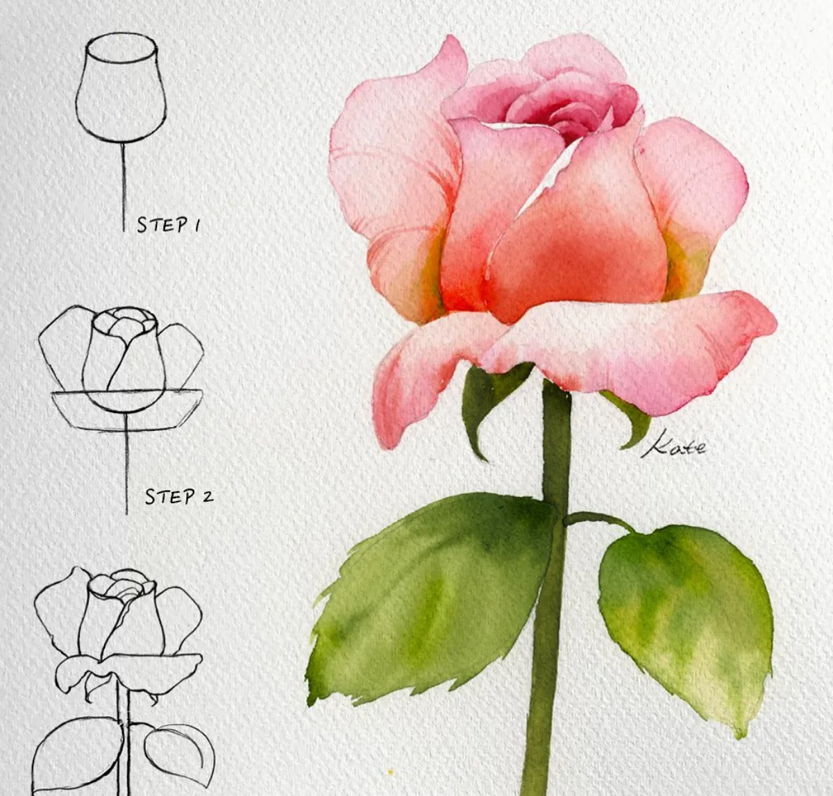 rose zeichnen lernen in drei schritten