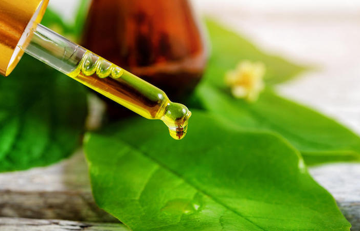 bio herbal cosmetics and alternative medicine concept
