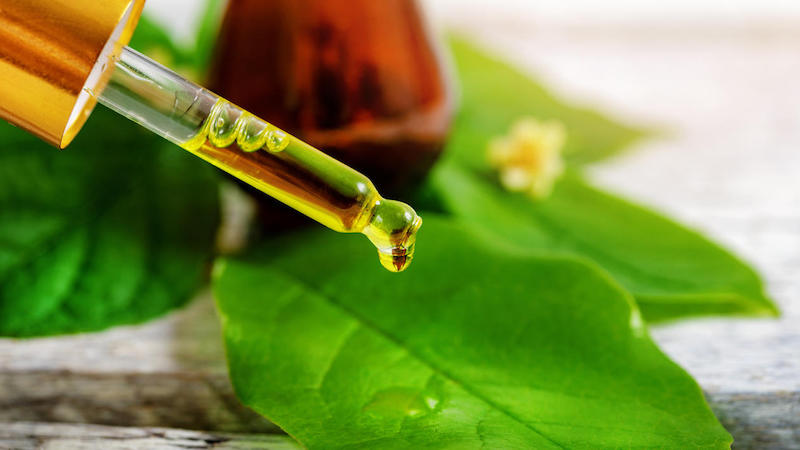 bio herbal cosmetics and alternative medicine concept