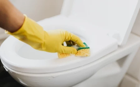 toilette reinigen toilettenschüssel putzen mit hausmitteln putztipps