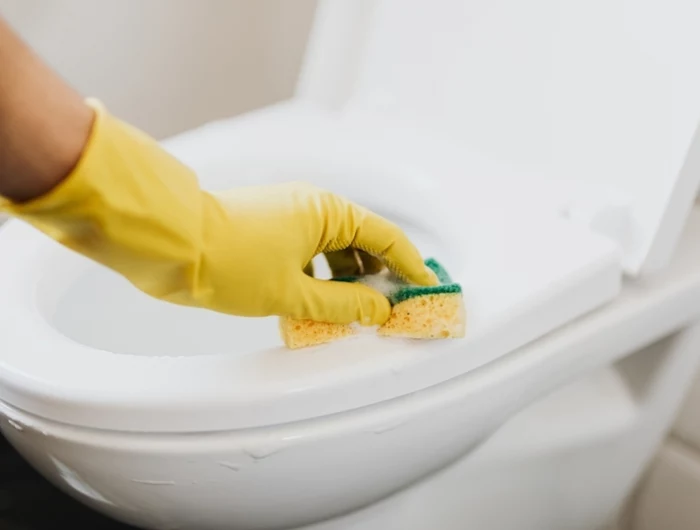 toilette reinigen toilettenschüssel putzen mit hausmitteln putztipps