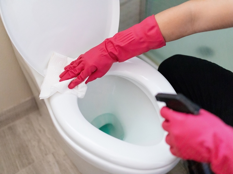toilette reinigen toilettenschüssel sauber halten ohne chemikalien
