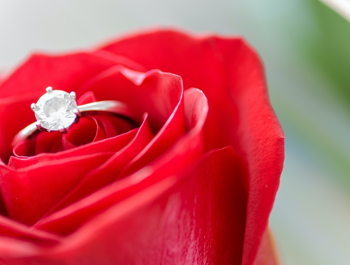 verlobungsring aus weißgold mit großem diamant rote rose