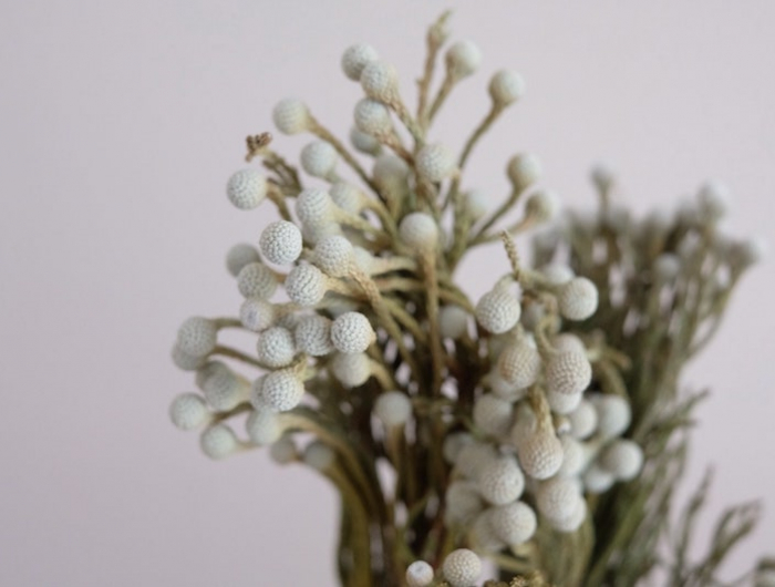 adventskranz selber machen zubehör adventskranz beige trockenblumen weiß