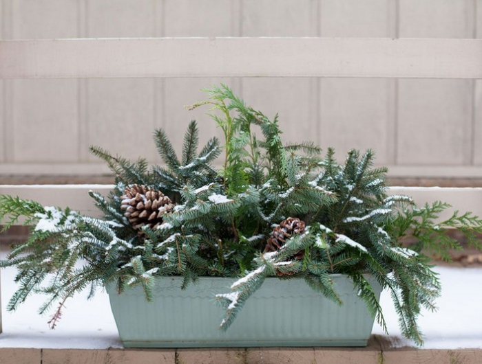ausgefallene fensterdeko weihnachten blumentopf mit immergrünen zweigen dekorieren