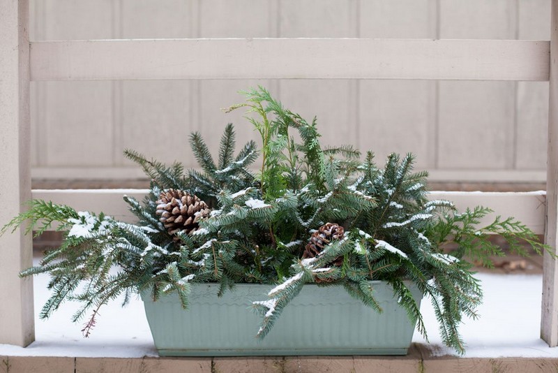 ausgefallene fensterdeko weihnachten blumentopf mit immergrünen zweigen dekorieren