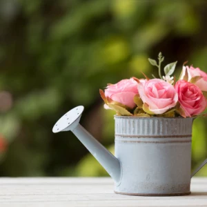 deko selber machen garten deko ideen aus alten sachen blumengießer als vase mit rosen