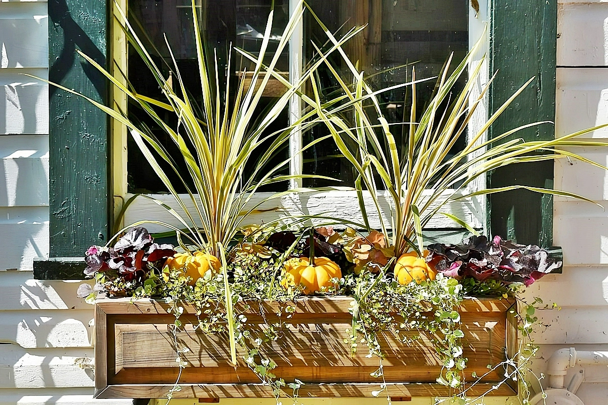 fensterdeko herbst aussen herbstliche pflanzen und kuerbisse pflanzenkuebel herbstdeko horsfordnursery