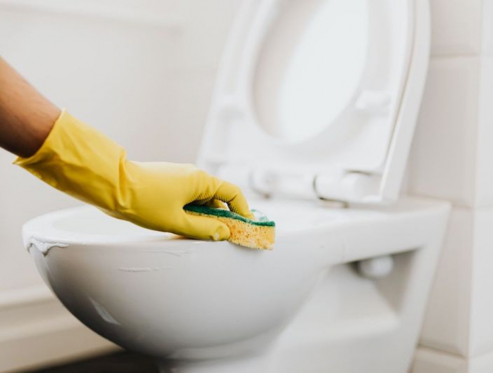 hartnäckigen urinstein toilette entfernen wandmontage
