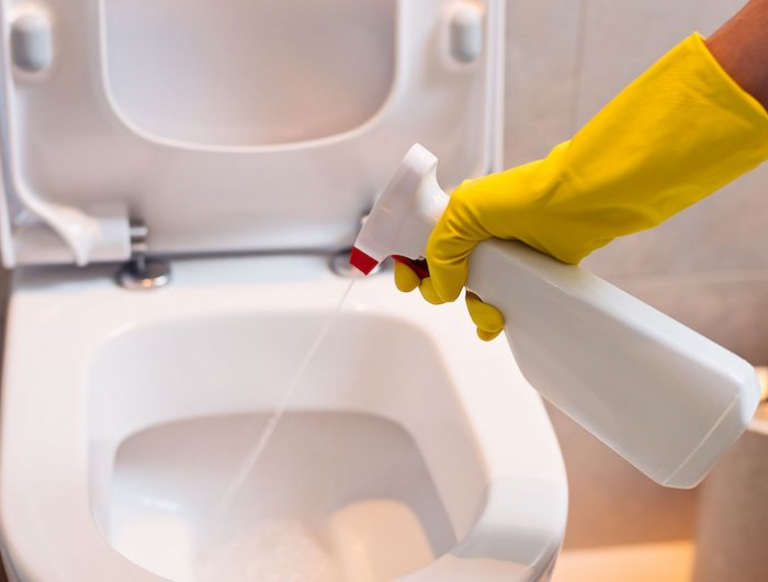 kalk und urinsteinlöser mit hausmitteln die toilette reinigen