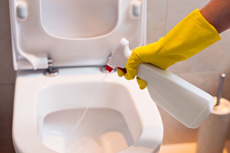 kalk und urinsteinlöser mit hausmitteln die toilette reinigen