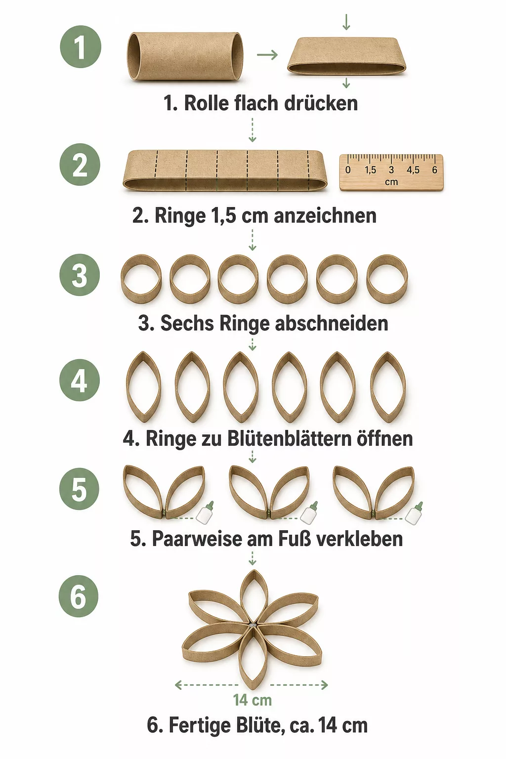 Infografik: sechs Schritte von der Klorolle zur Papierblüte