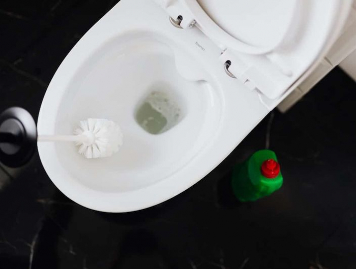 toilettenknie reinigen mit einer bürste und reinigungsmittel