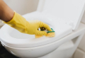 Womit entfernen Sie die braunen Ablagerungen in der Toilette?