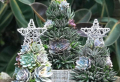 Alternative Weihnachtsbaum: kluge Bastelideen und nützliche Tipps