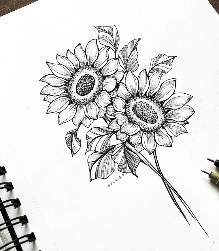 zeichnung bleistift sonnenblumen schwarz graues art flairpack