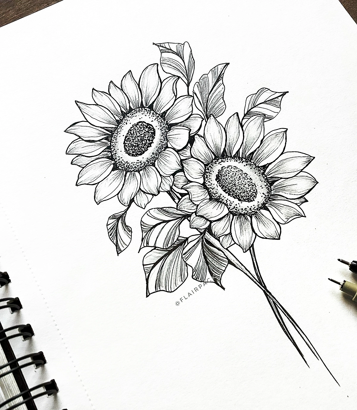 zeichnung bleistift sonnenblumen schwarz graues art 
