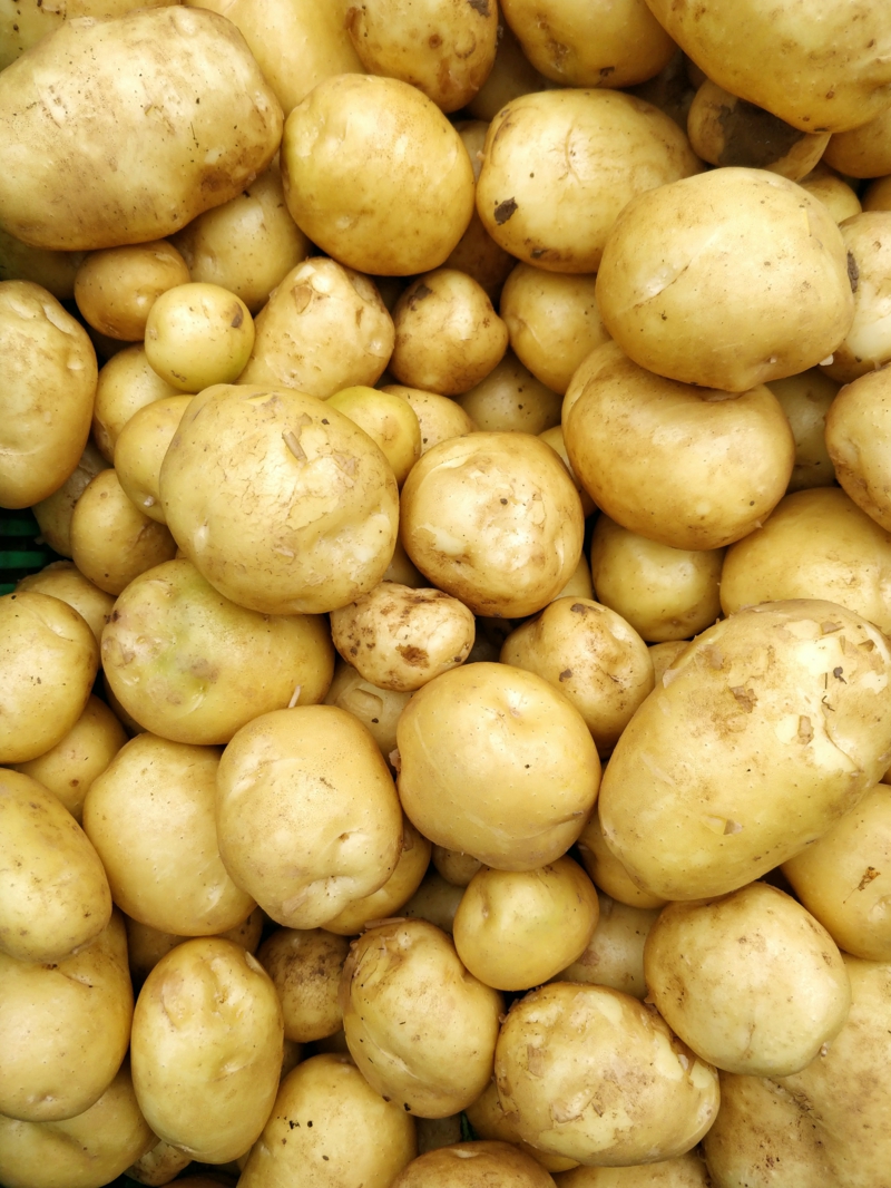 1 kartoffeln lagern ohne keller informationen