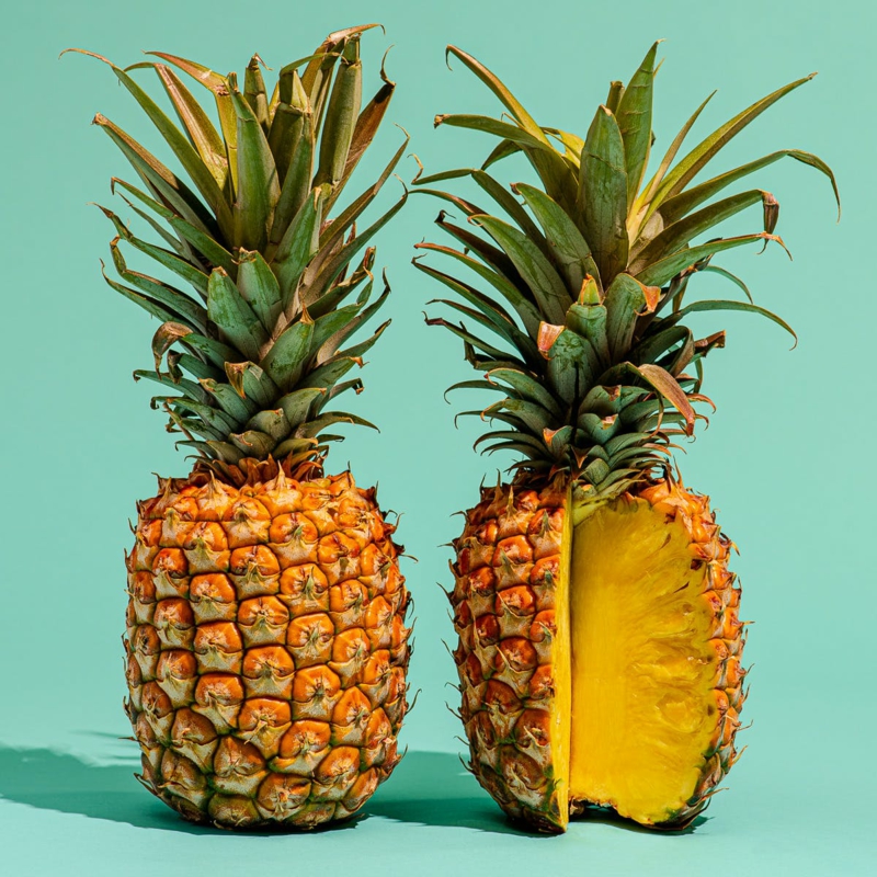 1 obst selber züchten ananas pflanze pflege informationen und tipps
