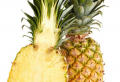 Alles, was Sie über Ananas Pflanze Pflege wissen müssen