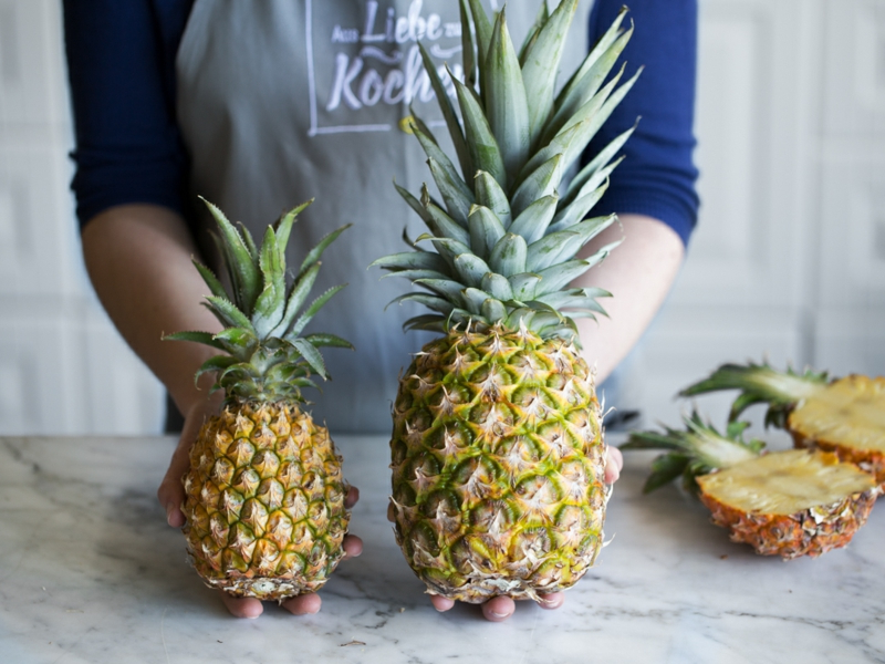 5 kleine und große ananas früchte ananaspflanze pflege tipps