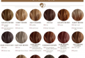 Mittellange braune Haare – Welcher Braunton passt eigentlich zu Ihnen?