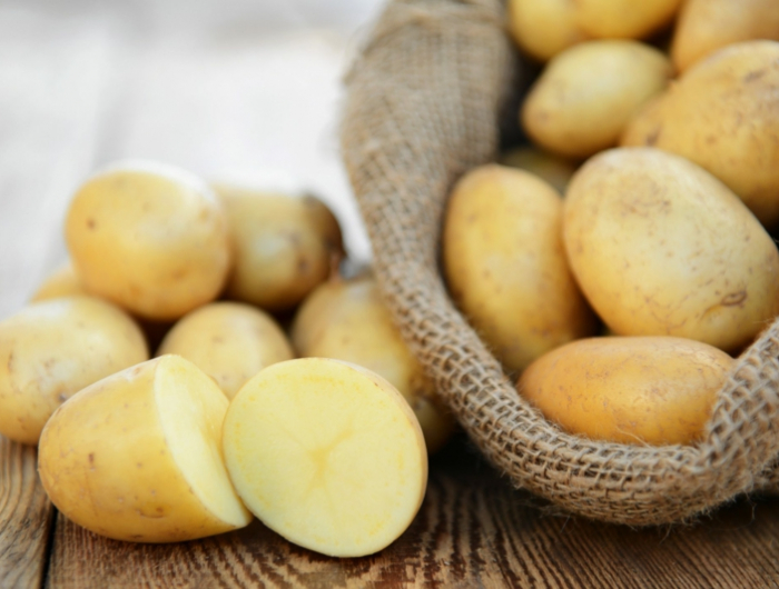 frische erdäpfel richtige aufbewahrung kartoffeln informationen