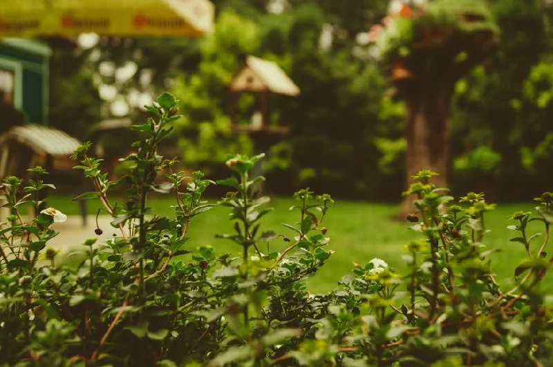 gartenarbeiten durch den frühling und sommer grüner garten